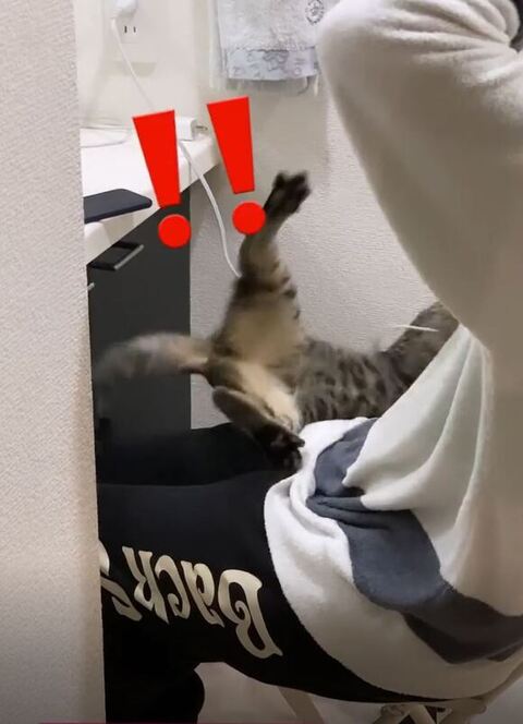 落下するイヴくん