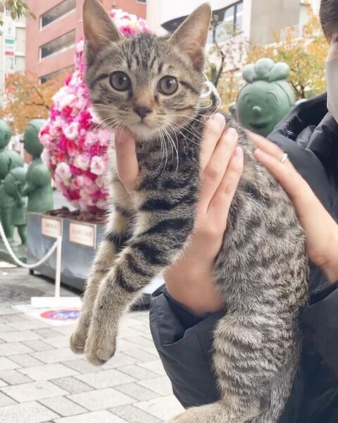 手でもたれるイヴくん