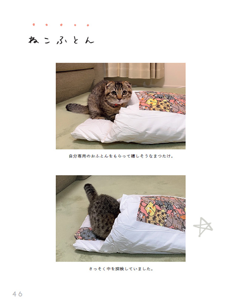 まつたけびより46