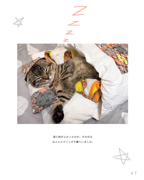 まつたけびより47