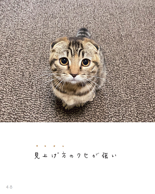 まつたけびより48