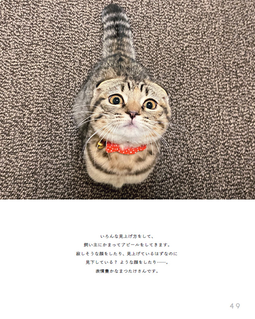 まつたけびより49