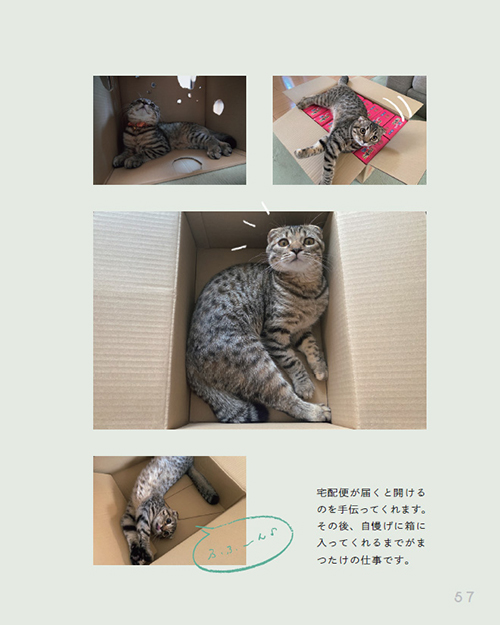 まつたけびより57