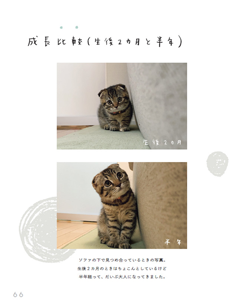 まつたけびより66