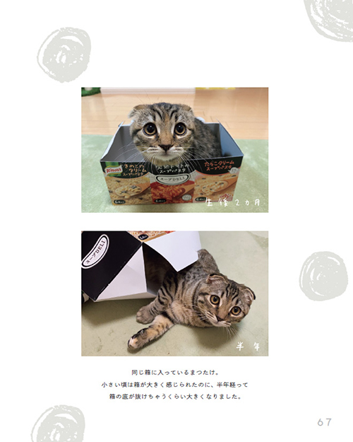 まつたけびより67