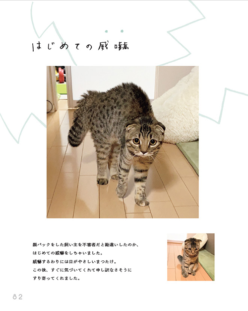 まつたけびより82