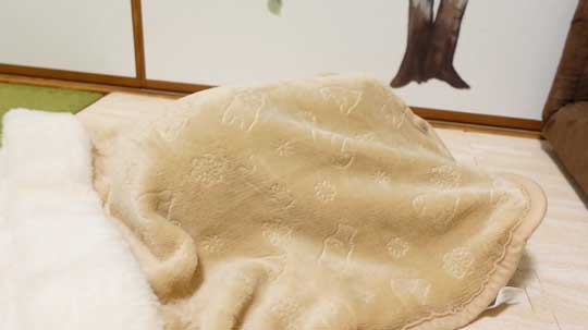 ウサギ ペットヒーター お布団 寝る 寝顔 眠る 子どもみたい 赤ちゃん