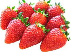 水郡線サイクルトレイン