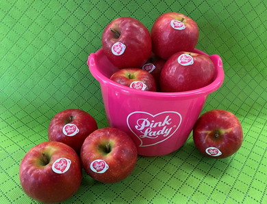 水郡線サイクルトレイン