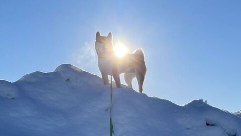 登頂部から見下ろす蓮くんのアップ
