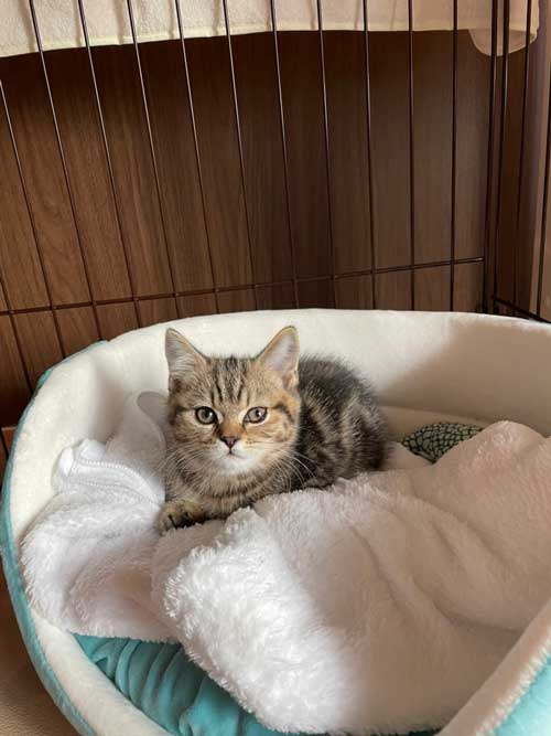 起きたルルくん