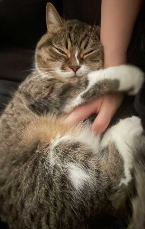 甘えん坊でかわいい