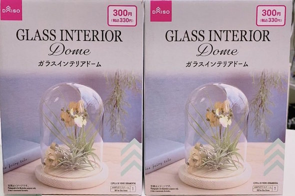 ダイソー ガラスドーム フィギュア