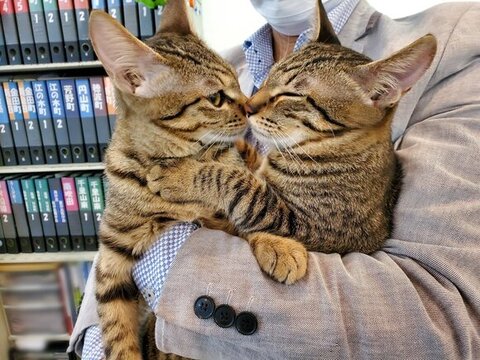 抱っこされるイチタくんとルイくん