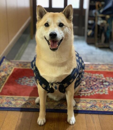 ちゃんちゃんこを着る拓くん