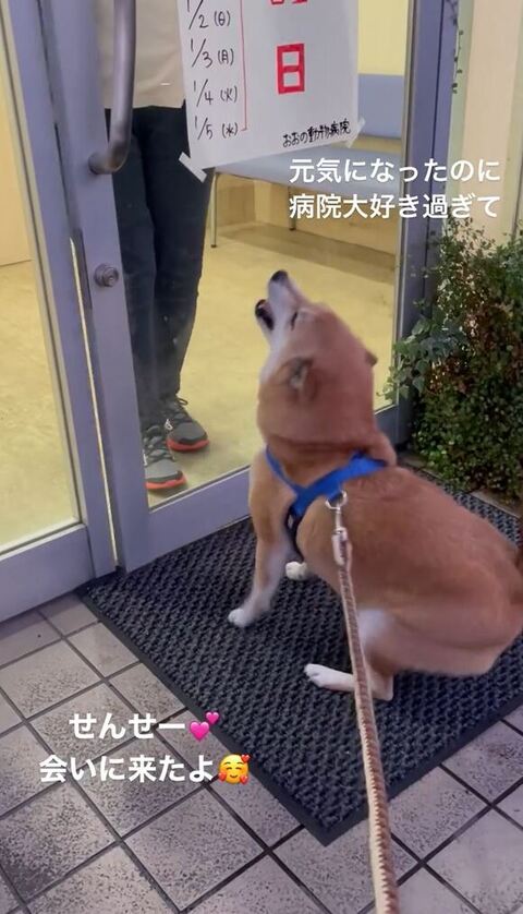 嬉しそうな拓くん