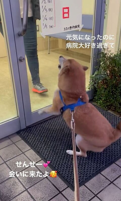 立ち上がる拓くん