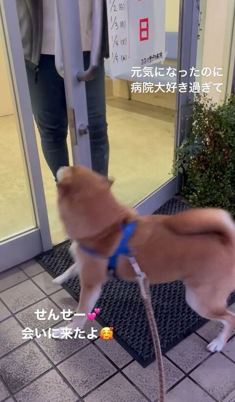 先生をお出迎えする拓くん