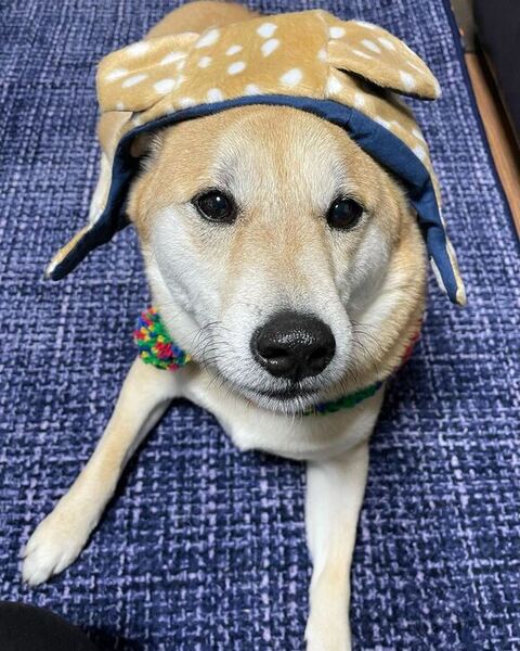 帽子かぶる拓くん