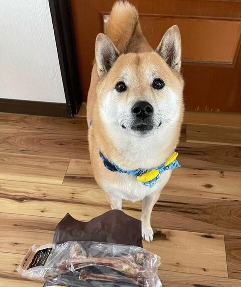 ボーンをもらった拓くん