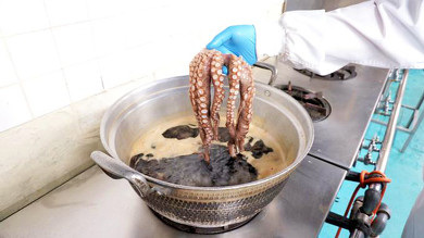 西明石駅弁のひっぱりだこ飯