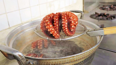 西明石駅弁のひっぱりだこ飯