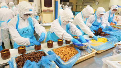 西明石駅弁のひっぱりだこ飯