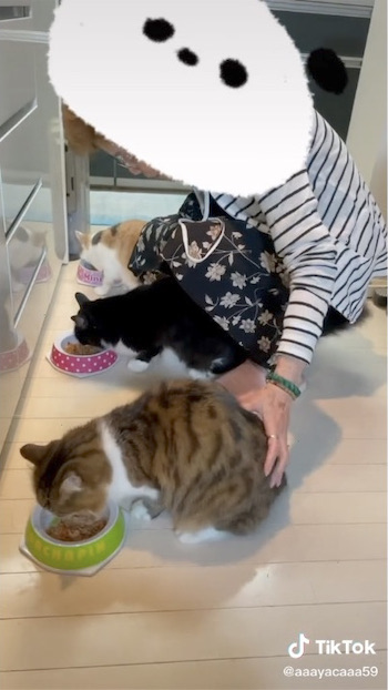 お尻を落として食べるように伝えるおばあちゃん