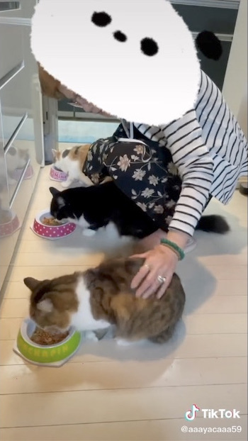 猫使いのようなおばあちゃん