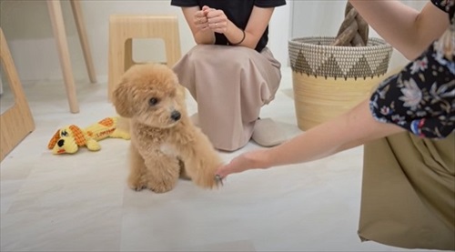 すみません、起きてください