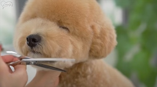 だんだん眠くなる表情