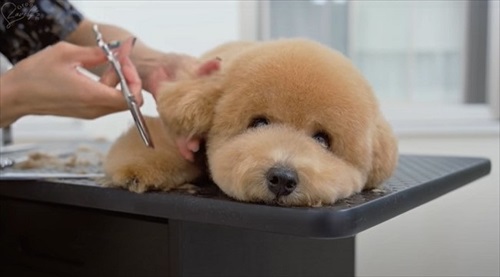 すみません、起きてください