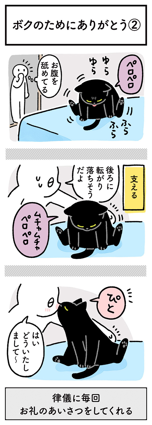 お礼をしてくれるろんさん