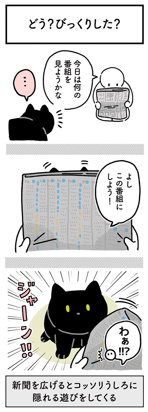 新聞にかくれるろんさん