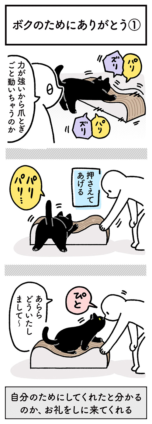 お礼をしてくれるろんさん