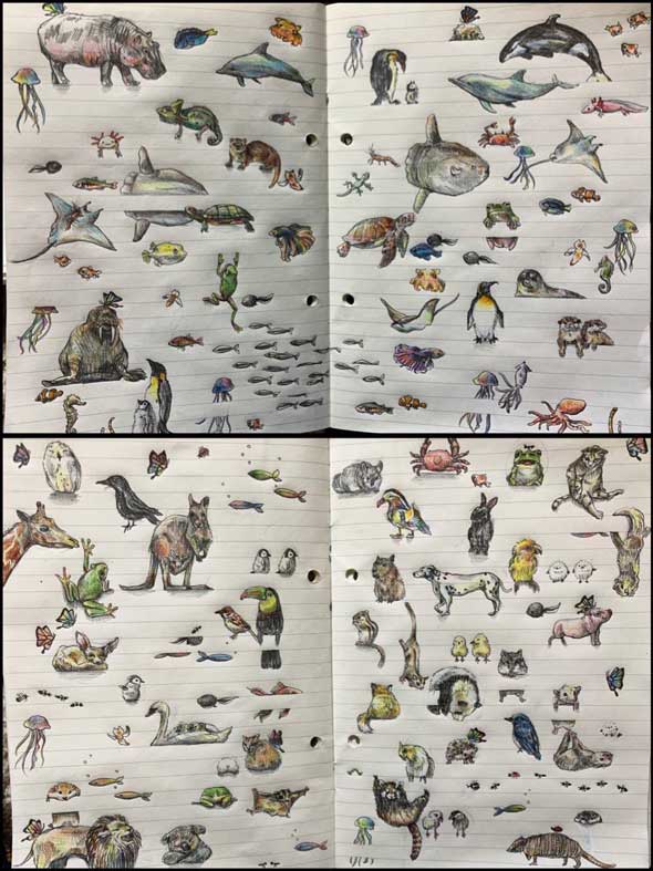 動物 22000匹 描く事になった 絵描き Twitter 企画 描き続ける