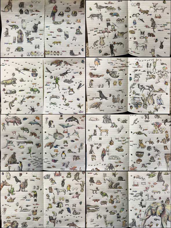 動物 22000匹 描く事になった 絵描き Twitter 企画 描き続ける