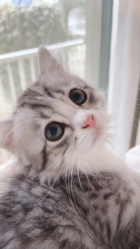 振り返るミクちゃん