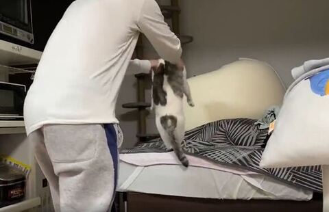 ベッドに連れていかれるとうふちゃん