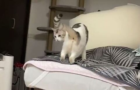 後ろを振り返るとうふちゃん