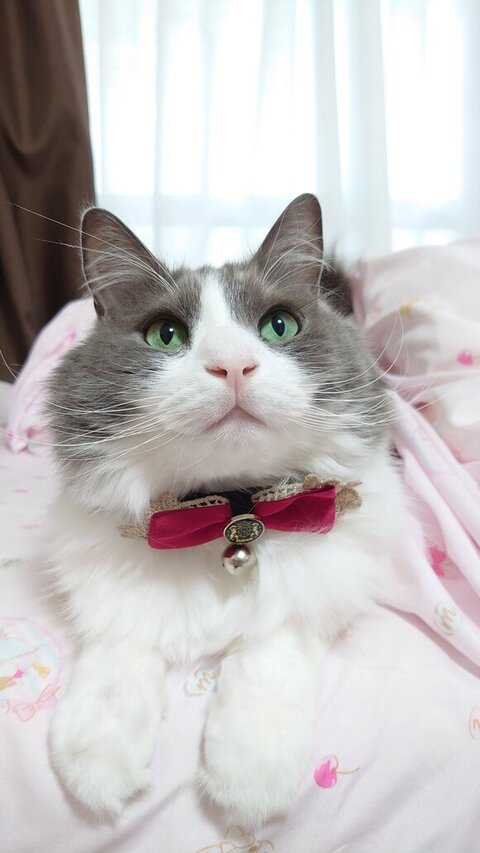 布団で起きるいーくん