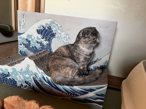 おすすめ
