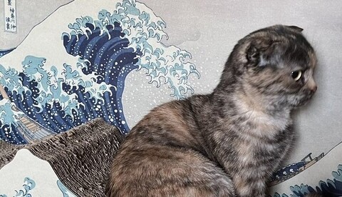 浮世絵と馴染むこつぶちゃんアップ