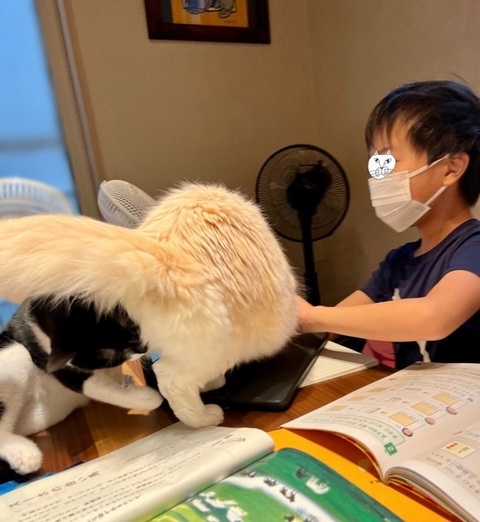 腕枕で眠るむみくん