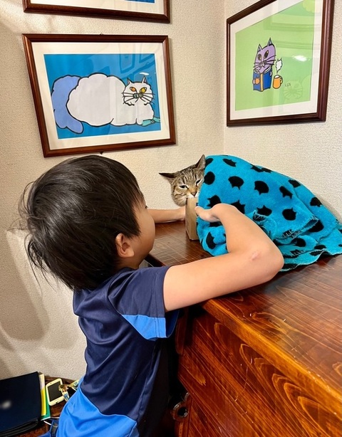 猫ちゃんをタプタプする息子さん