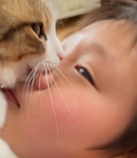 猫が鼻を味見