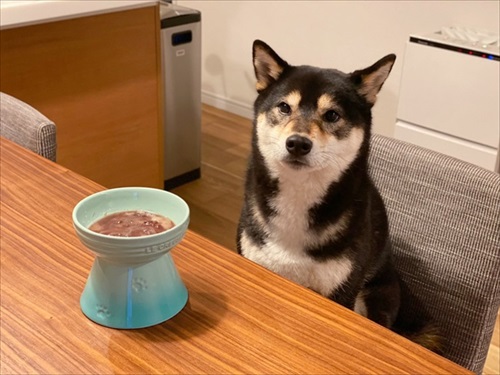 疑問顔の琥大朗くん