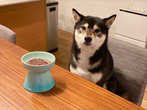 がっかりする琥大朗くん