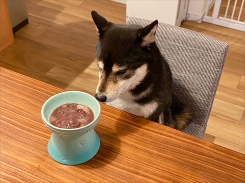 切ない表情の琥大朗くん