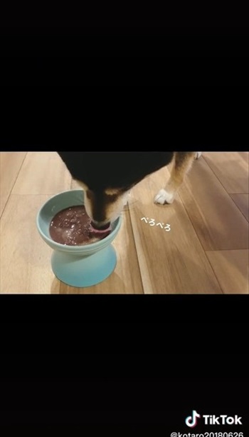 少しおしるこをなめる琥大朗くん